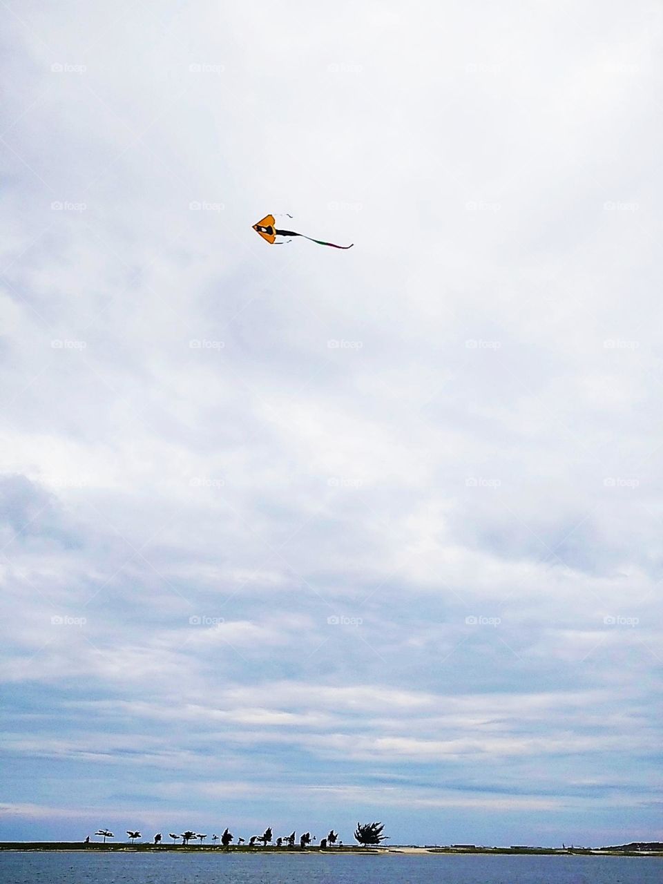 Kite is flying high in the sky