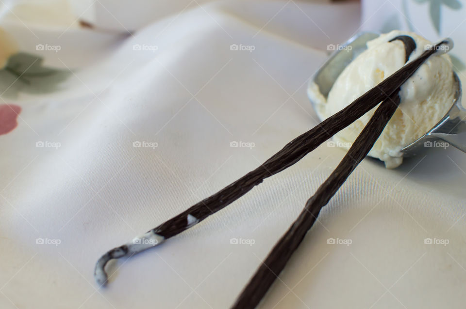 Scoop of french vanilla ice cream in serving scoop