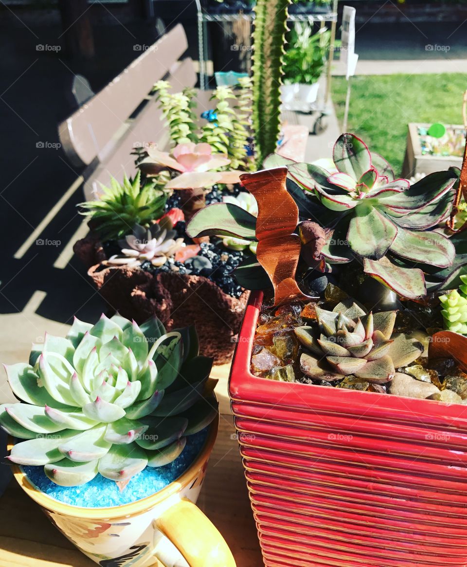 A glimpse of spring 💐✨