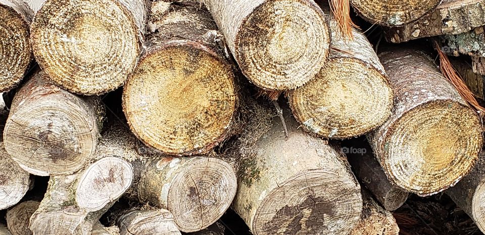 ready to build a fire