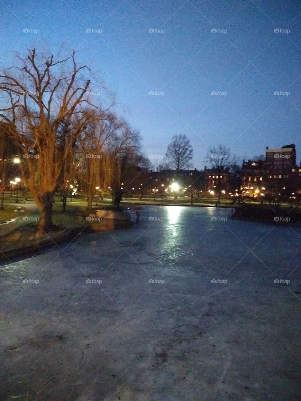 Icy Boston at Night - Common Area - Public Park - Boston, Massachusetts
