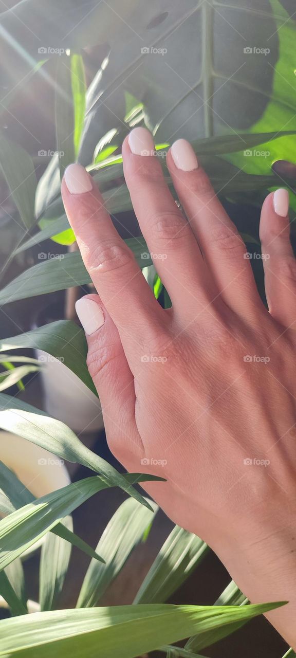 woman with white manicure near green leaves