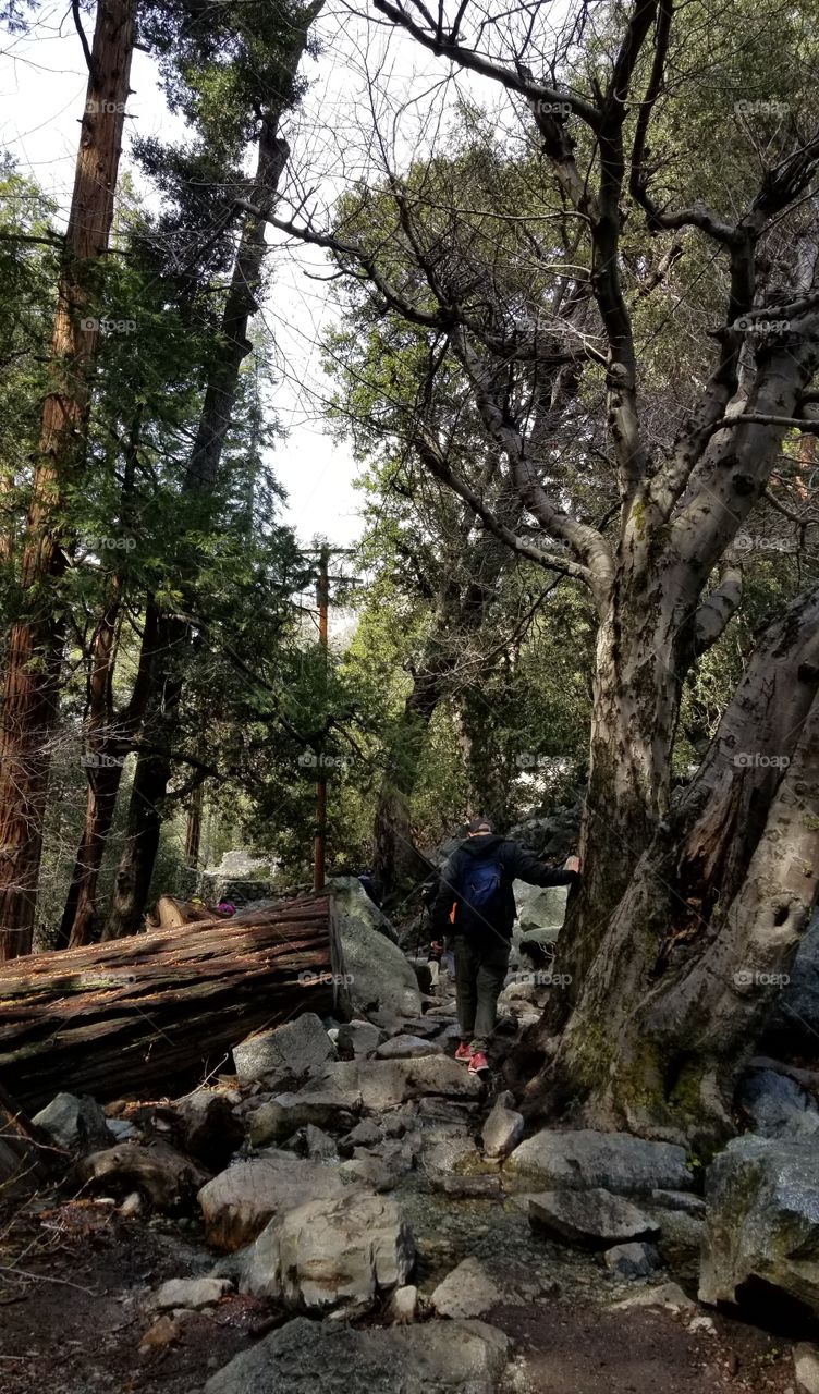 Man hiking in the woods