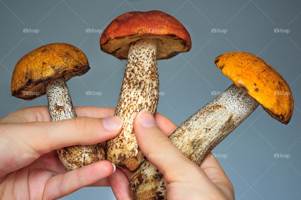 Close-up of mushrooms in hand