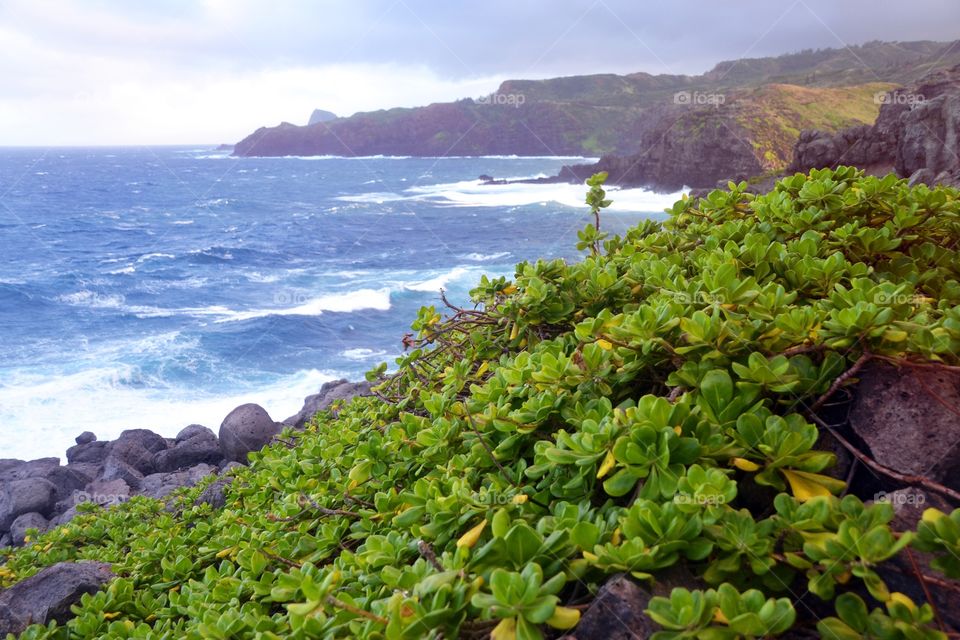 Water, Landscape, Seashore, Sea, Nature