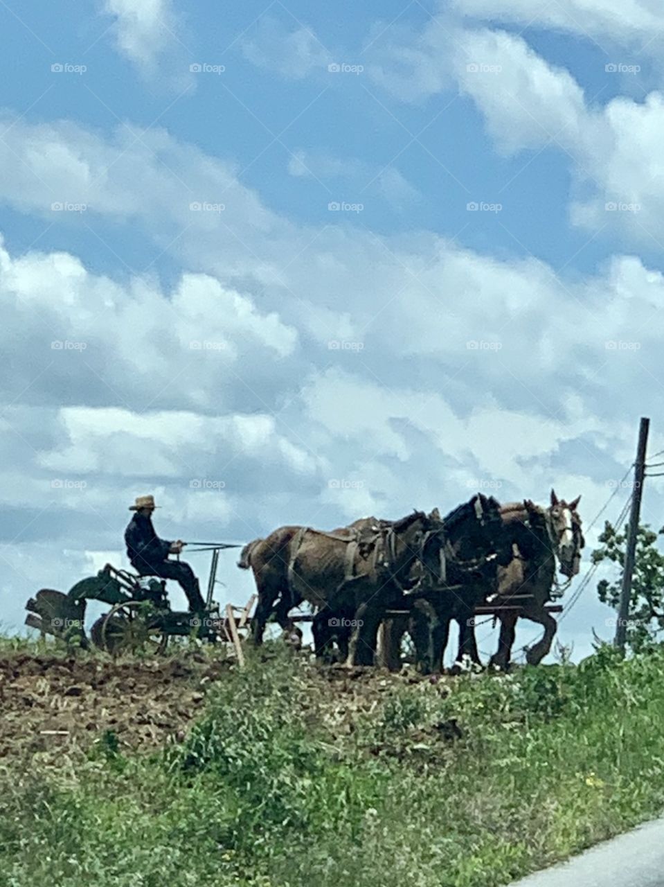 Amish Farming 