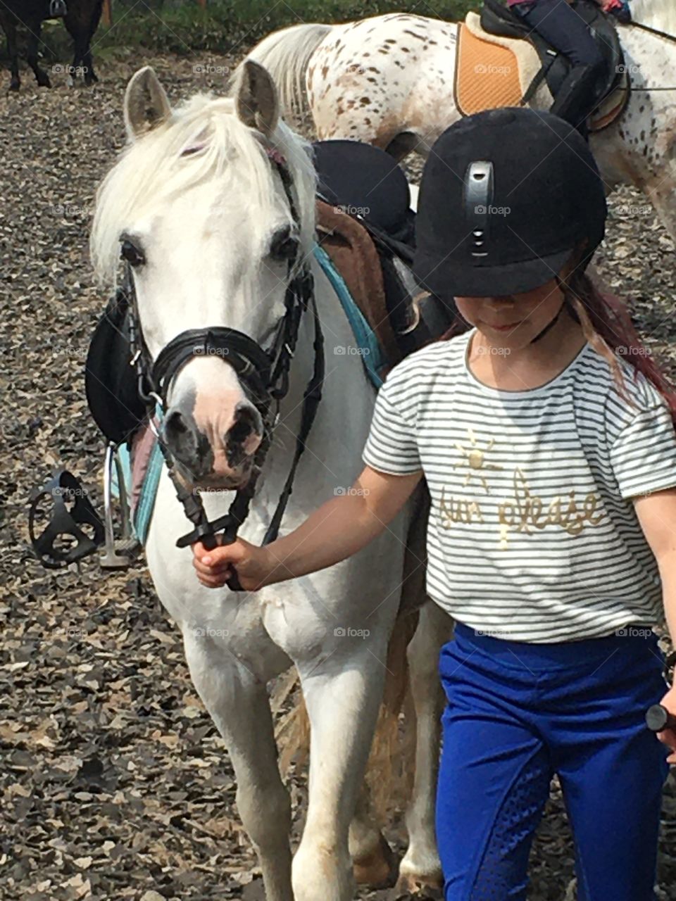 Done with private lessons on Anne