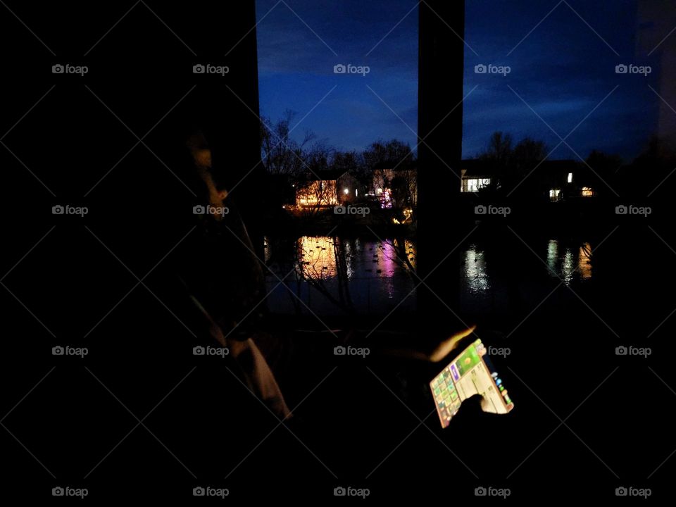 playing plants vs zombies