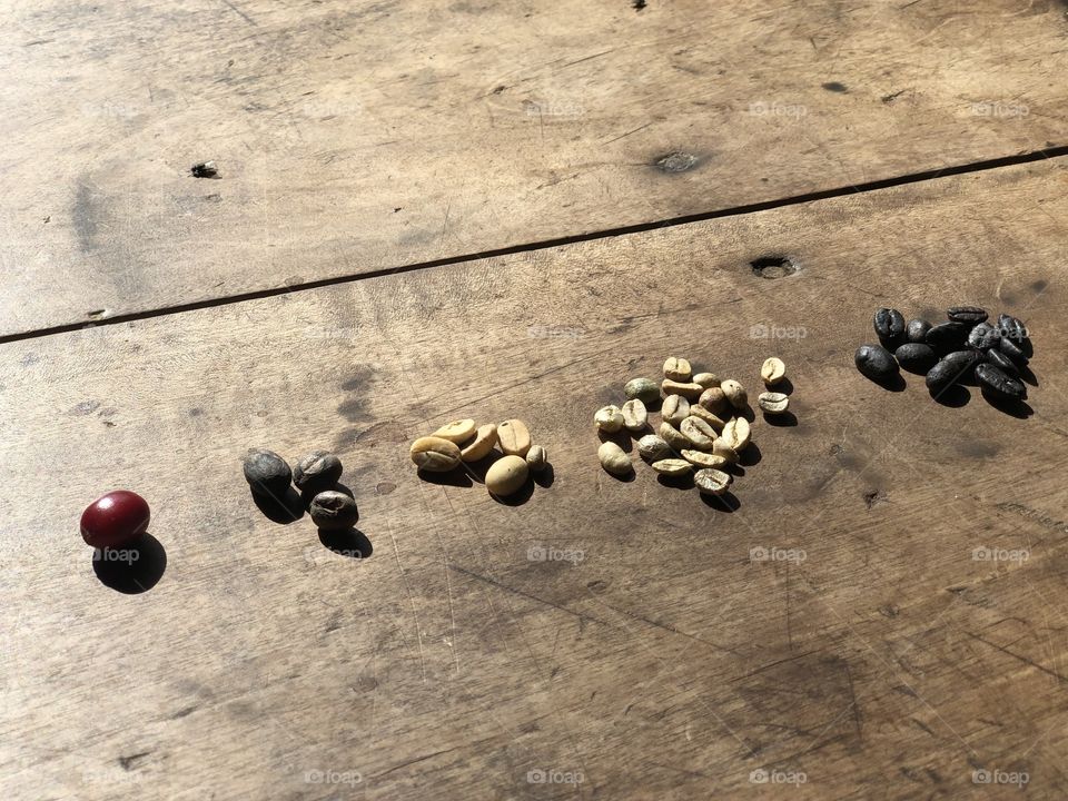 Stages of a coffee bean, from a traditional farm in Trinidad, Cuba.