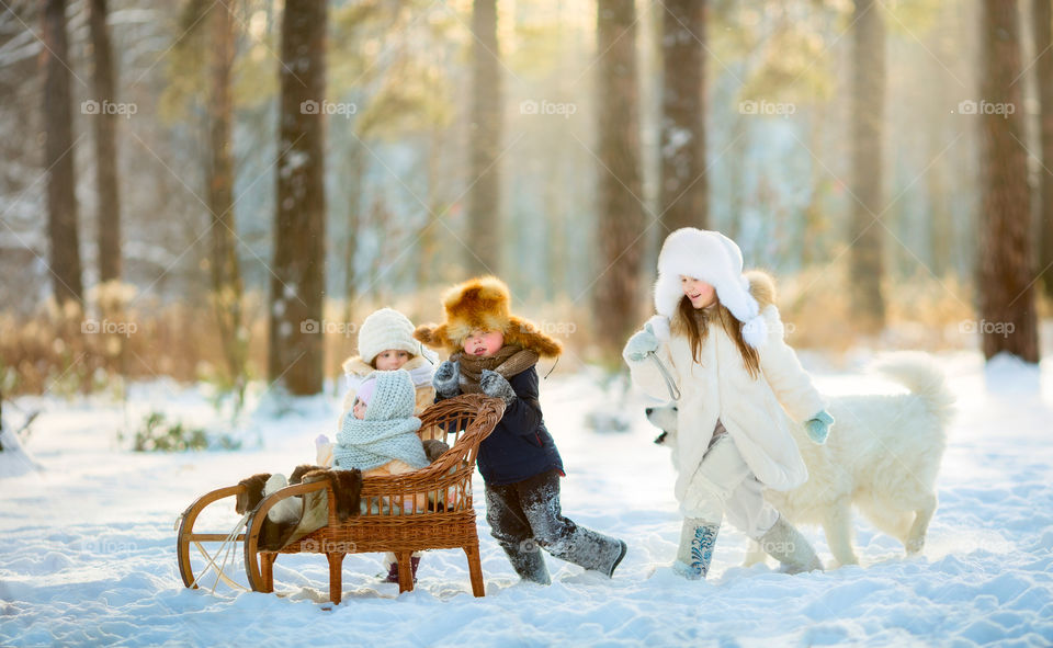 Children playing with the Samoyed dog at cold winter day