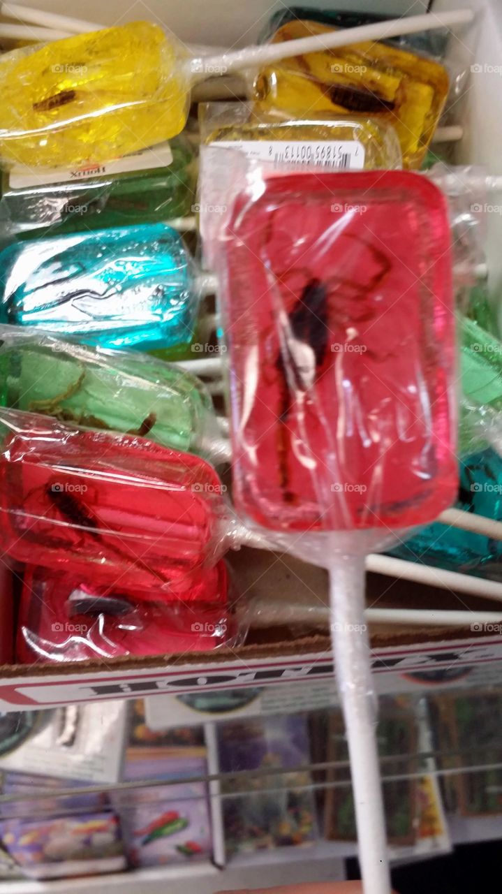 Insect Candy Lollipops