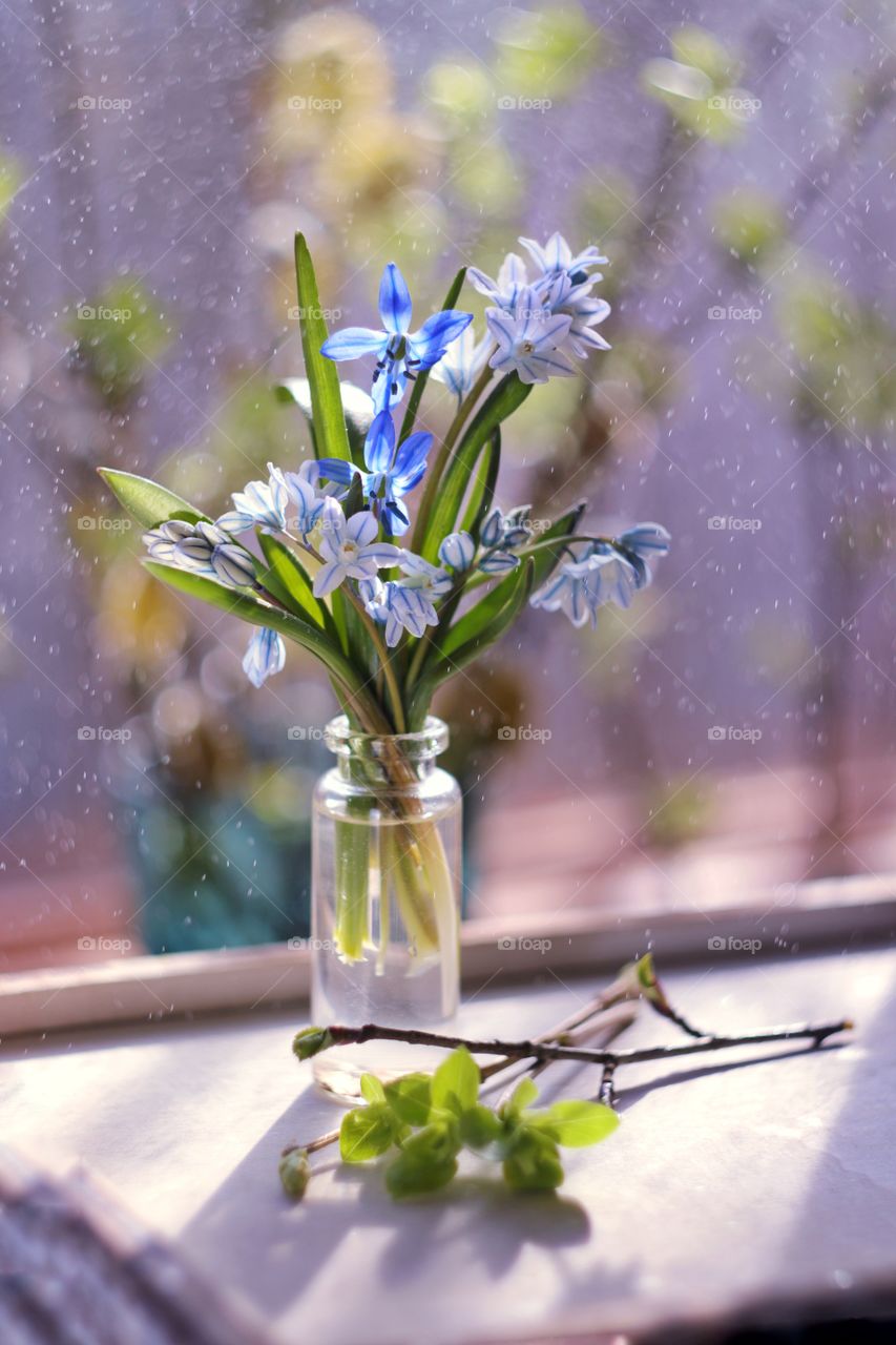 Bouquet of spring flowers in a vase