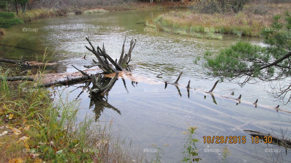 Northern Michigan 