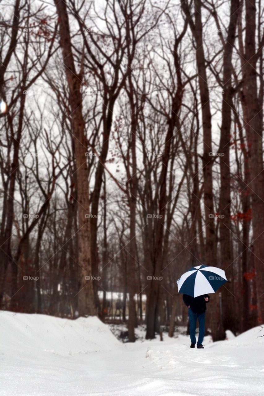 Man walking with umbrella in snowy woods