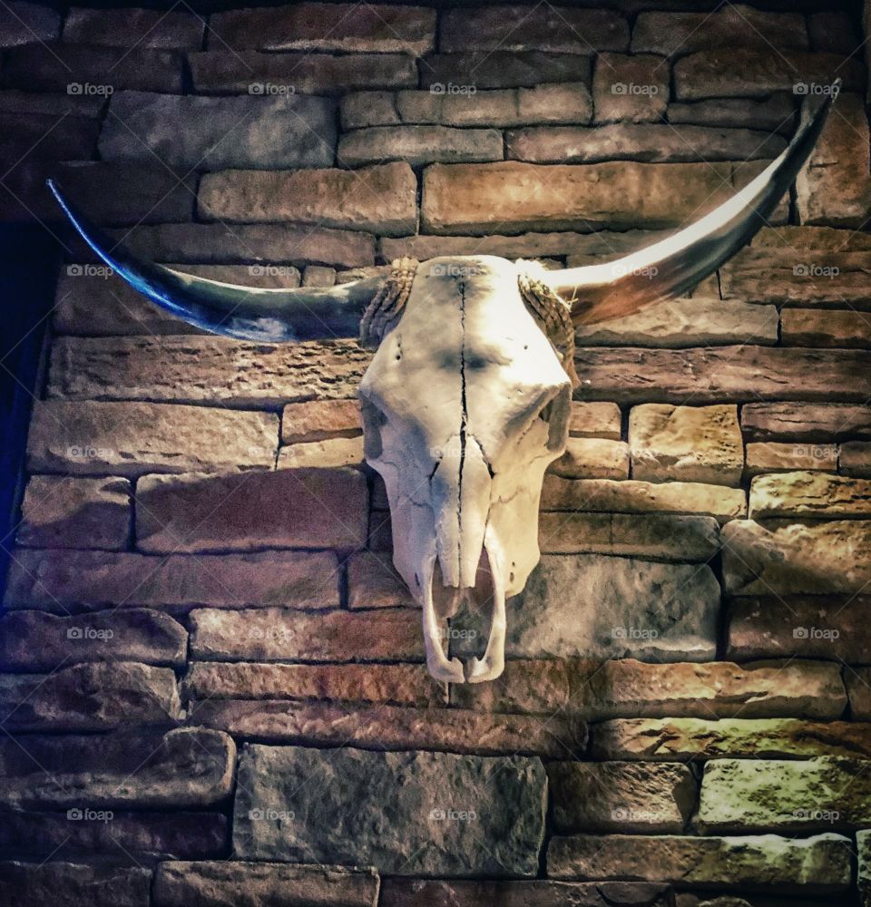 Stone wall cattle skull decoration 