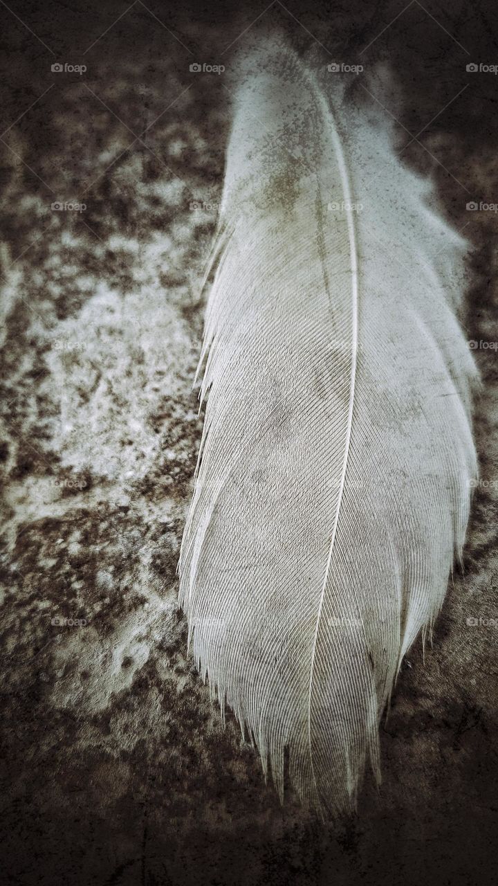 just a feather