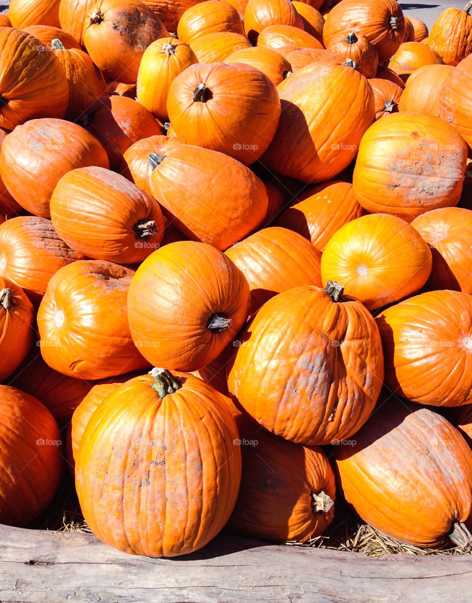 Heap of pumpkins