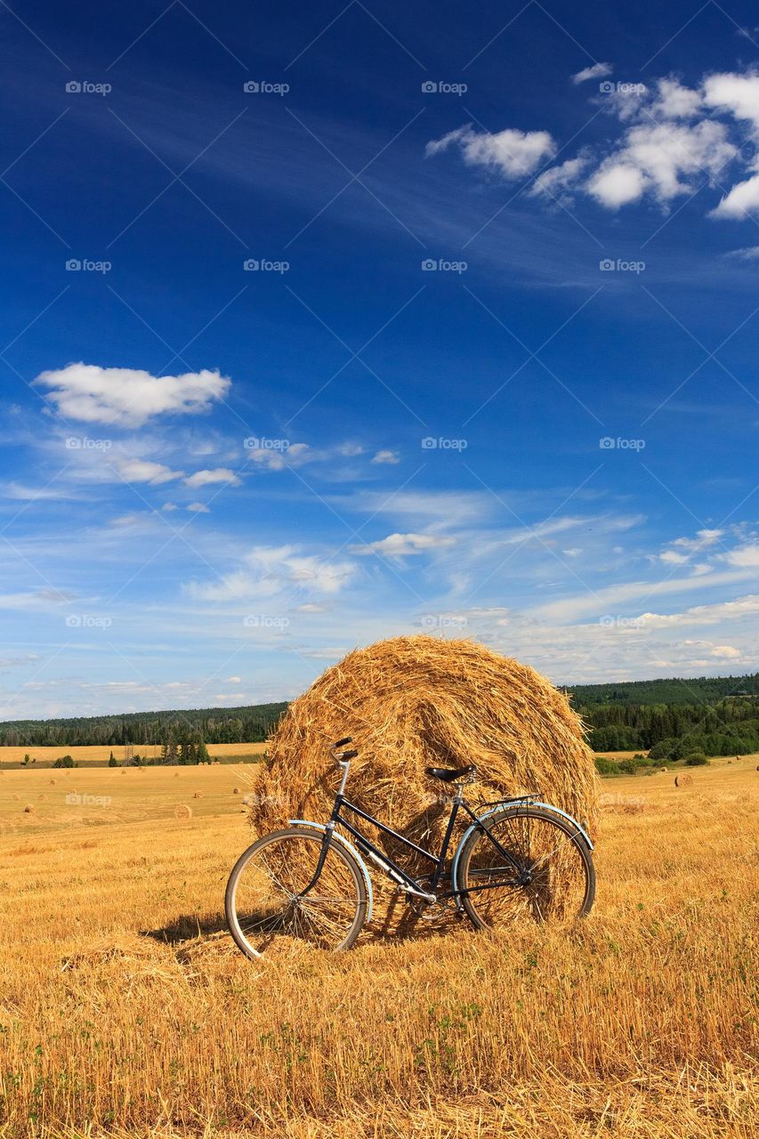 Bicycle in the harvested wheat field