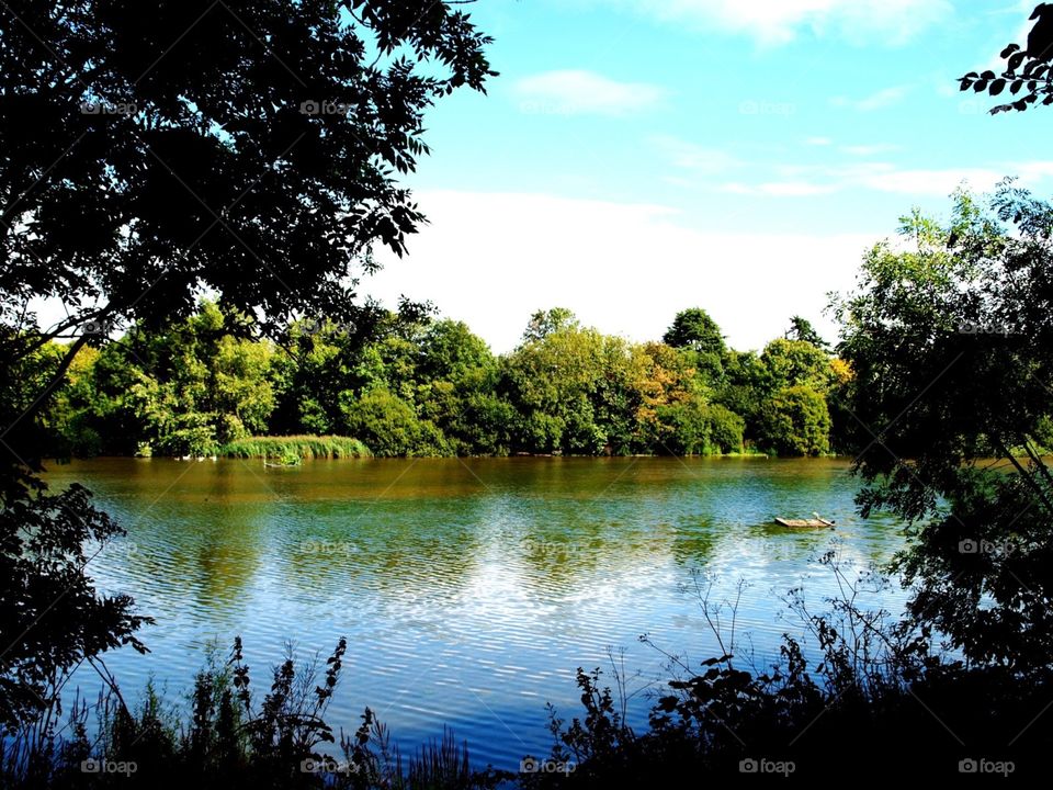 The Leg O' Mutton reservoir, Putney, London