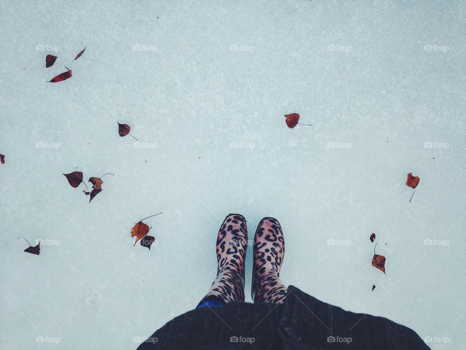 Frozen leaves at the ice