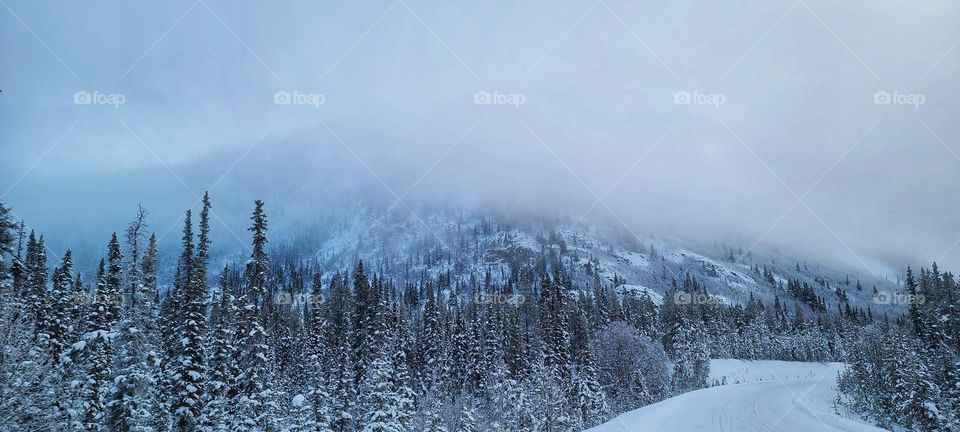 Wintertime in tbe Yukon