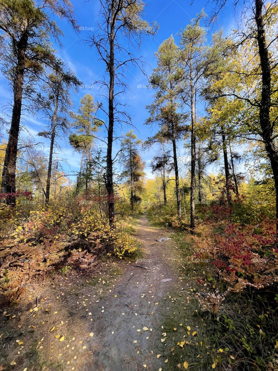 Autumn hike