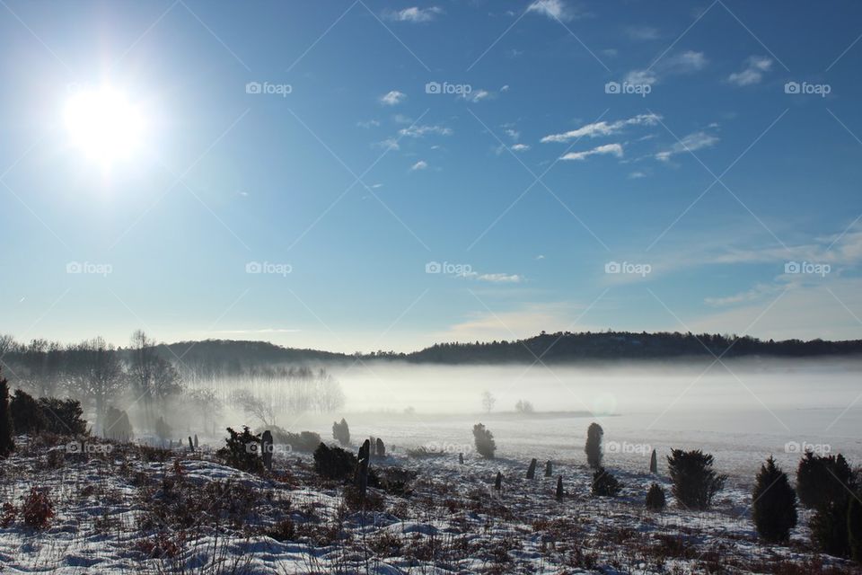 Winter view and fog at day