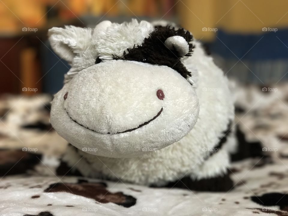 Little toy cow