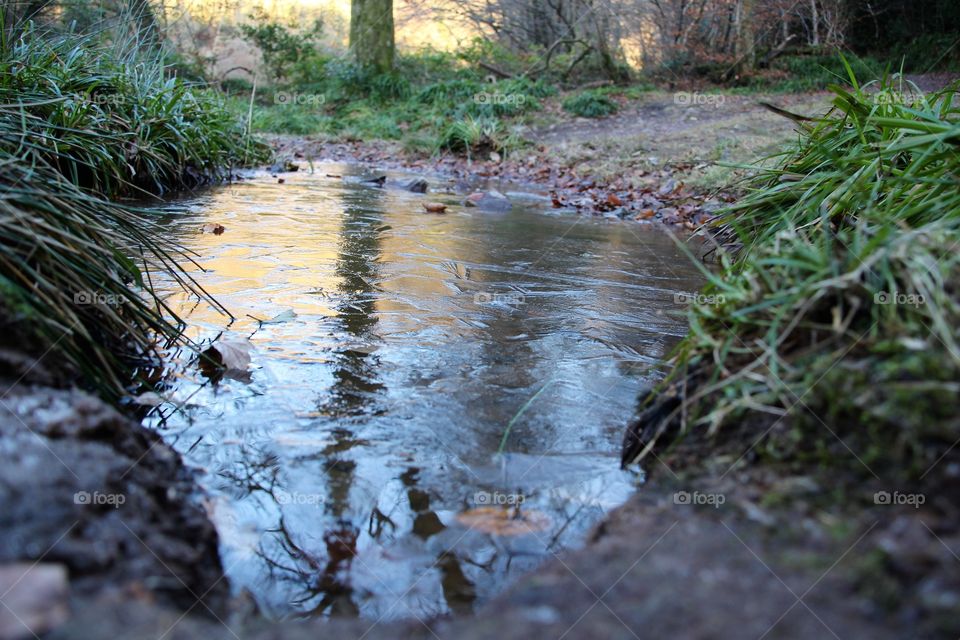 Close-up of stream