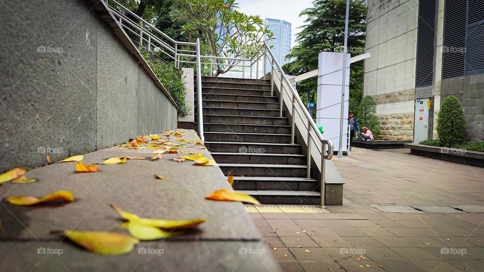 Stairs in the garden