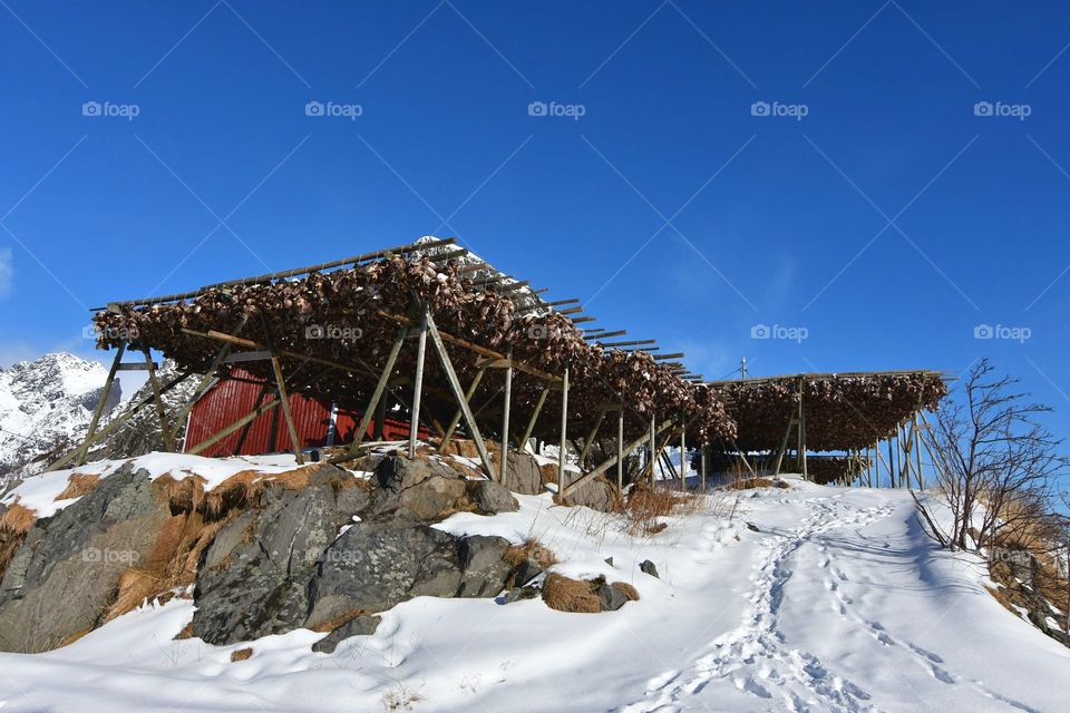 Dry fish racks