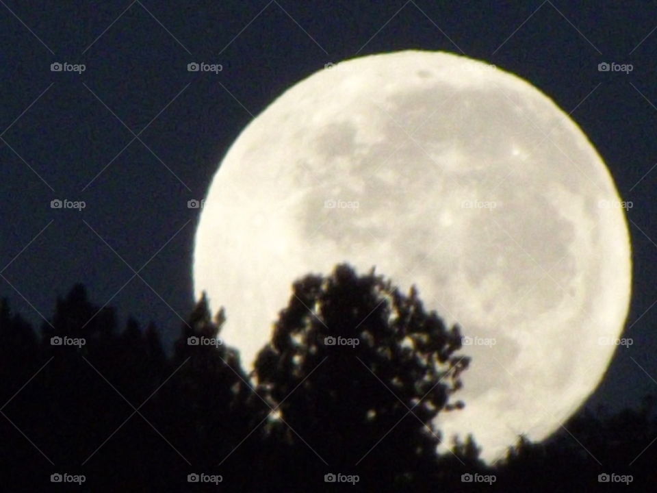 Luna llena, una espectacular noche donde se logró apreciar esta imagen de un acercamiento a la Luna mientras se ocultaba en el horizonte sur oeste de mi hogar.