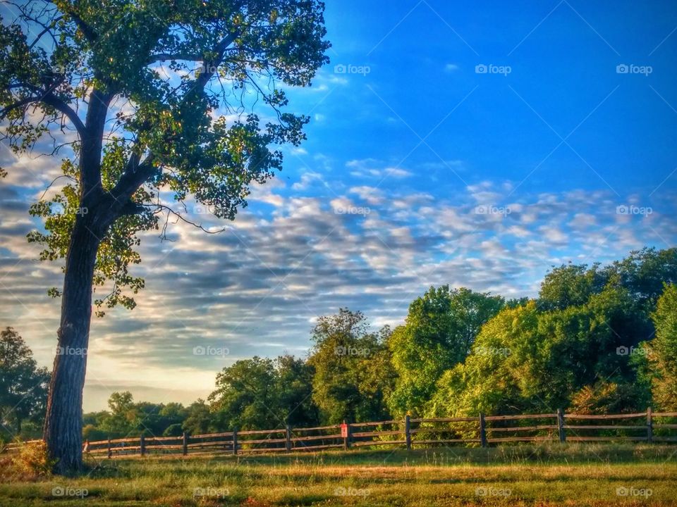 morning clouds 