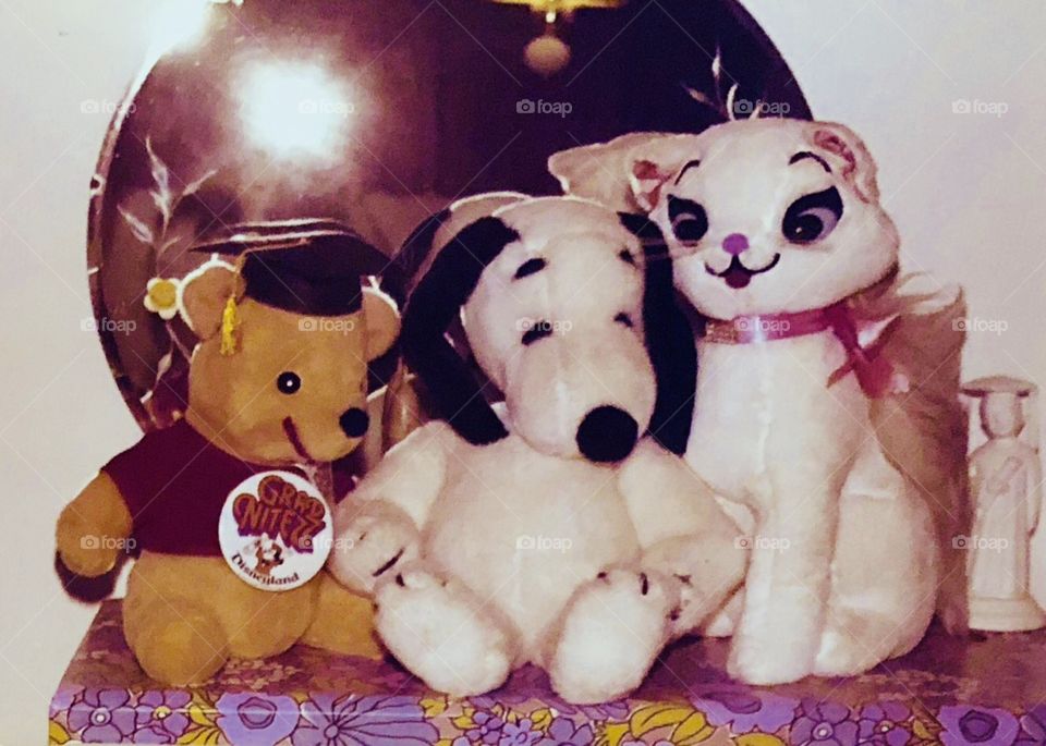 Disneyland GradNight Winnie The Pooh, Snoopy & Marie stuffed animals.