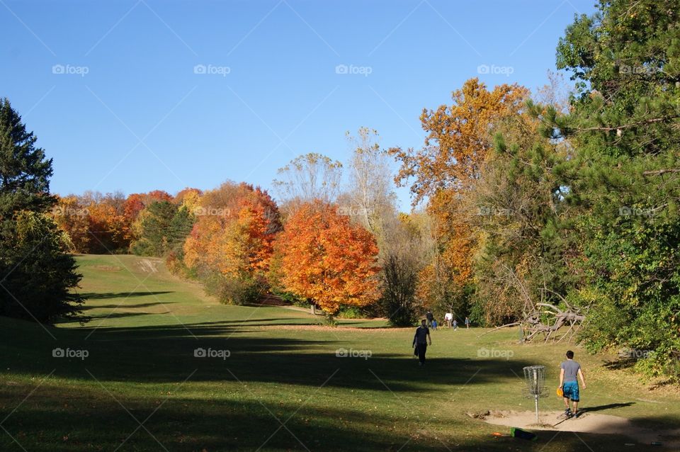 Fall frisbee golf 