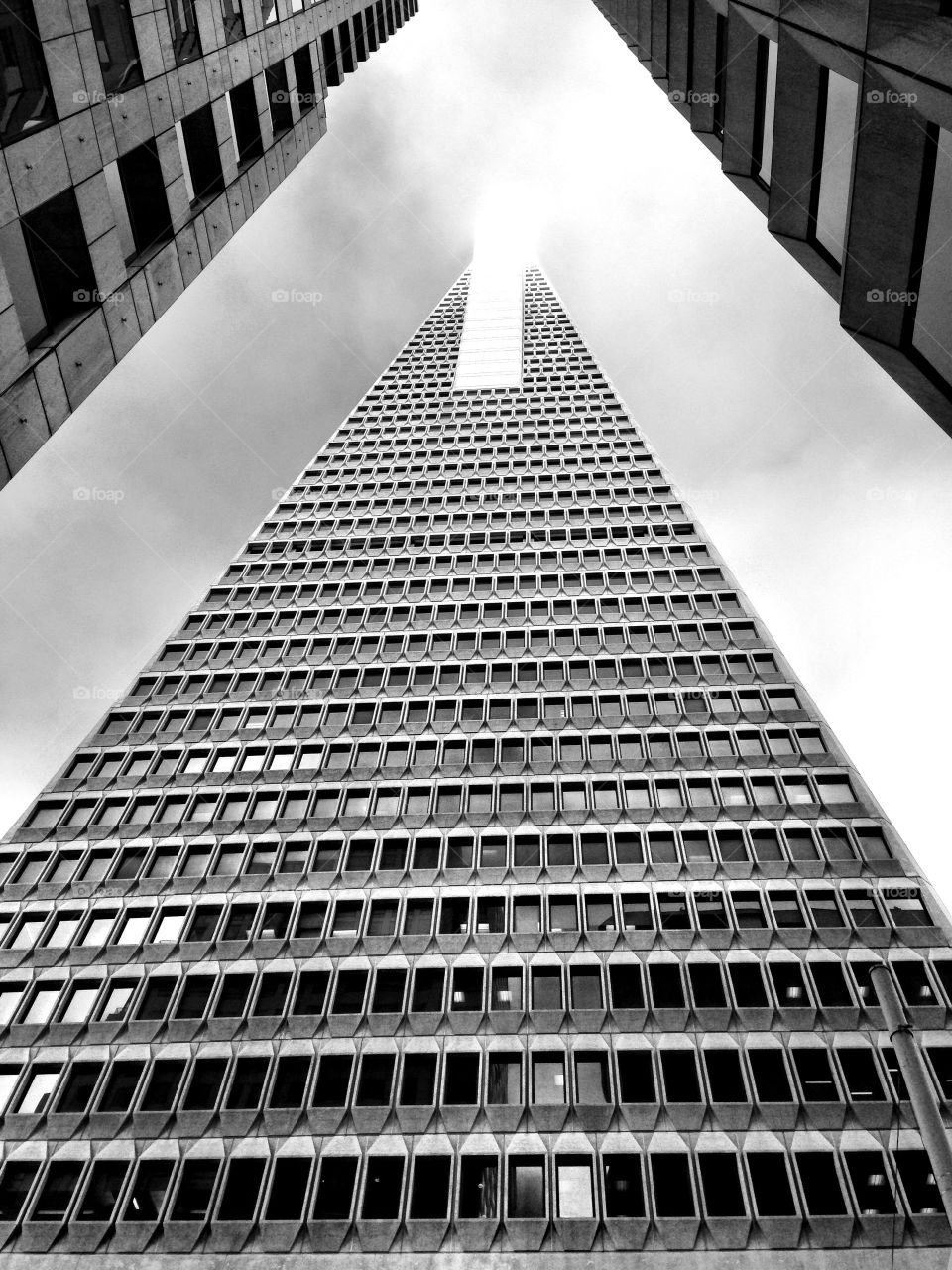 Transamerica Pyramid Building, San Francisco. Transamerica Pyramid Building, San Francisco 