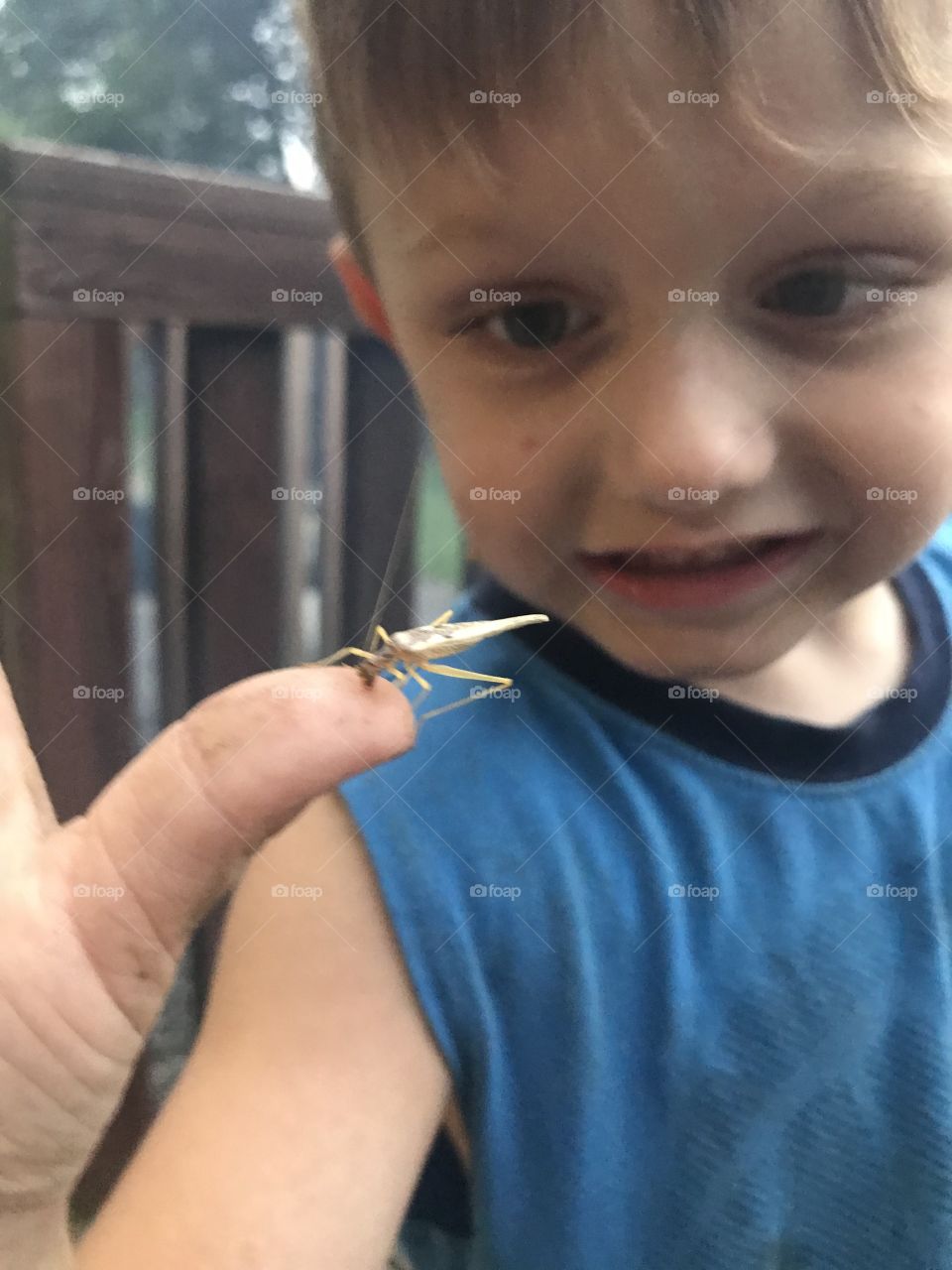 A little boy fascinated by the grasshopper on his thumb. 