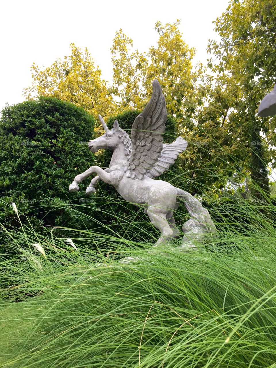 Pegasus statue in grass field.. Pegasus statue in grass field. 