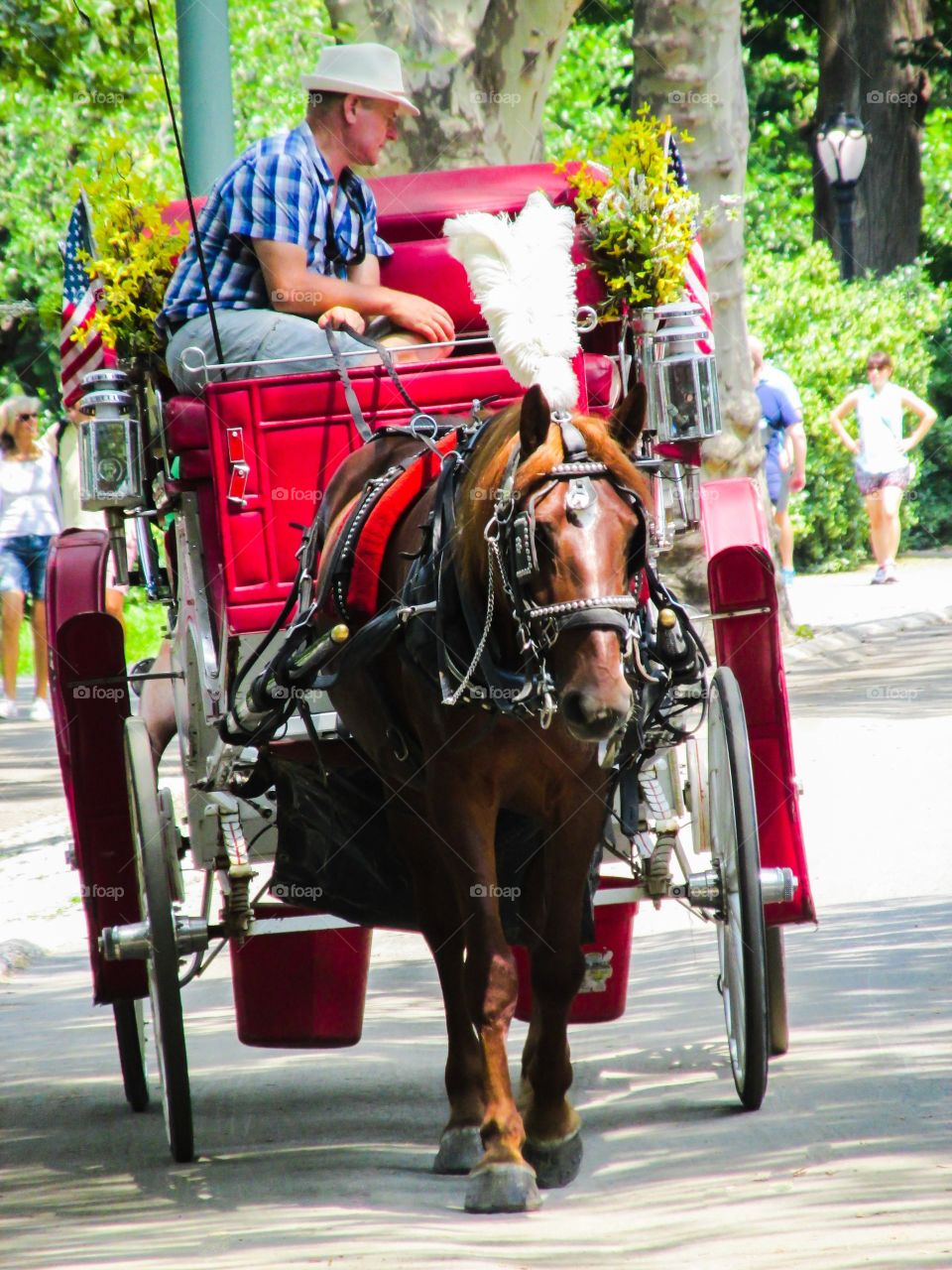 Enjoy A Ride Through The City. Enjoying A Ride Through The City