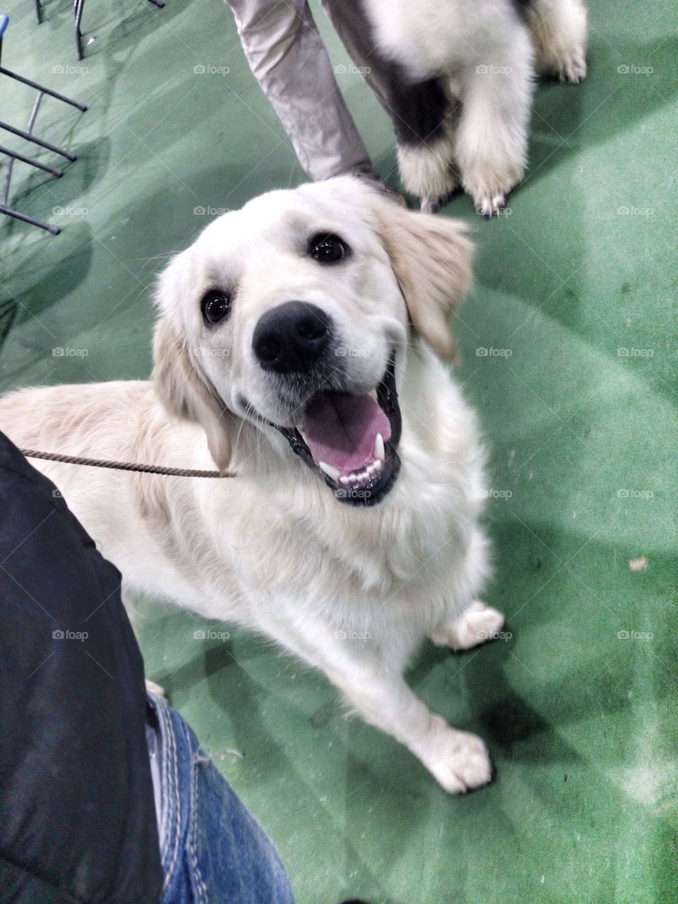 Sweet Zoe at Ringcraft class