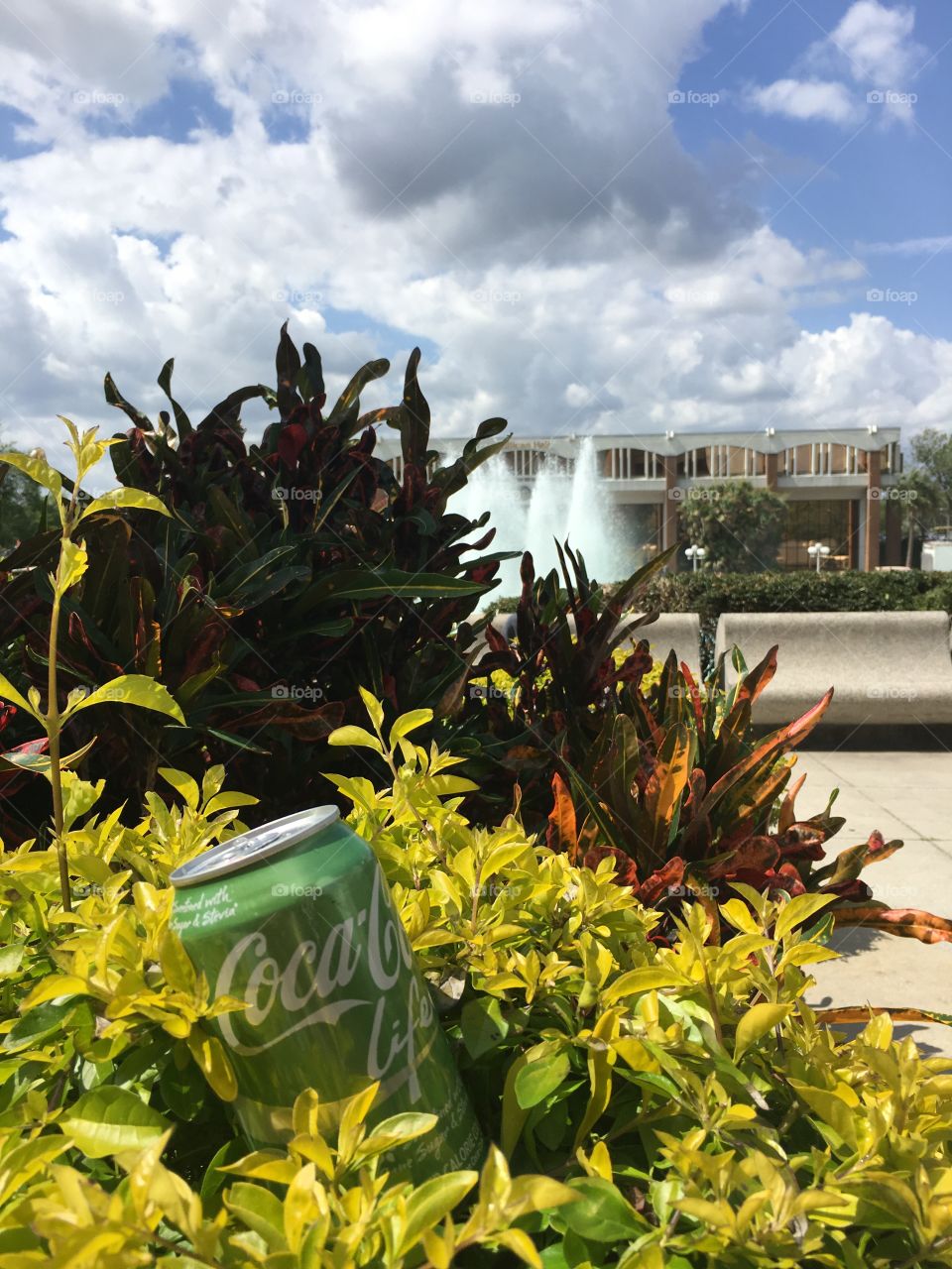 Where is Coca-Cola LIFe?