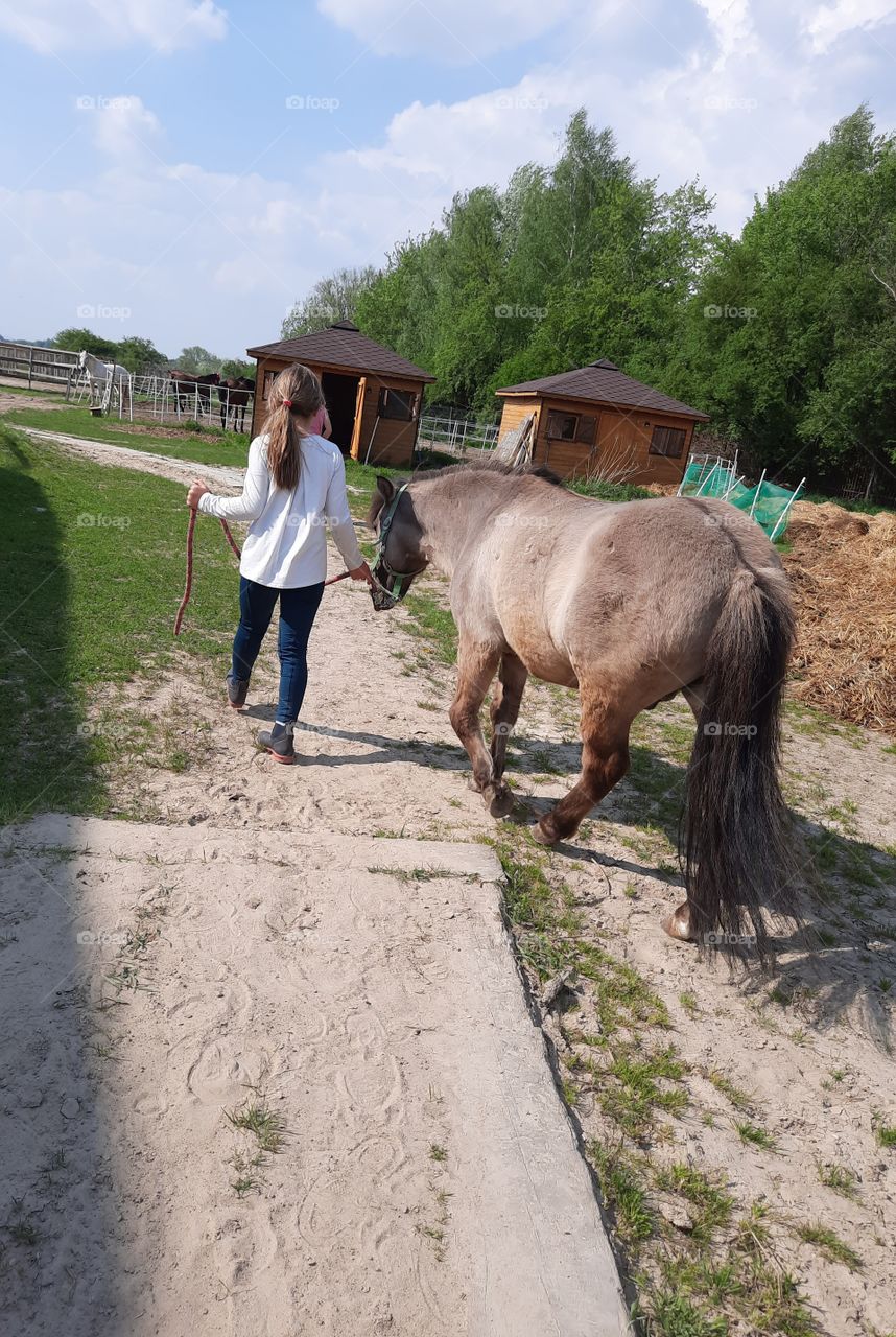 litlle girl and her ponny on a sunny day