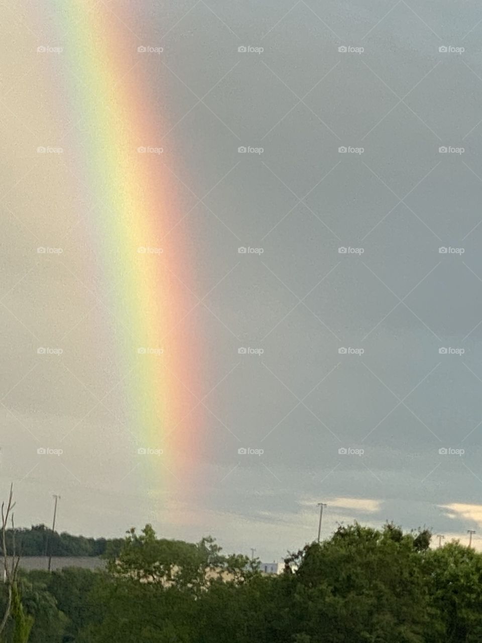 Rainbow 