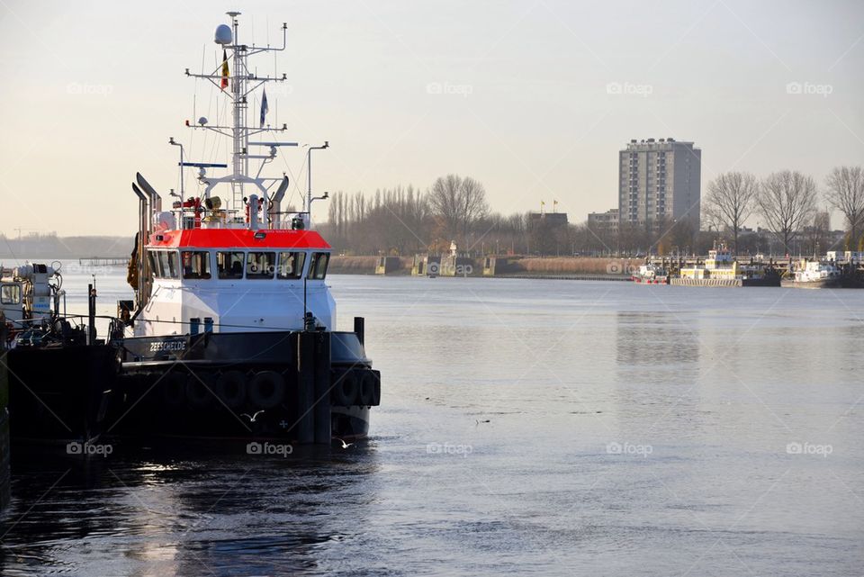 The river Schelde in Antwerp