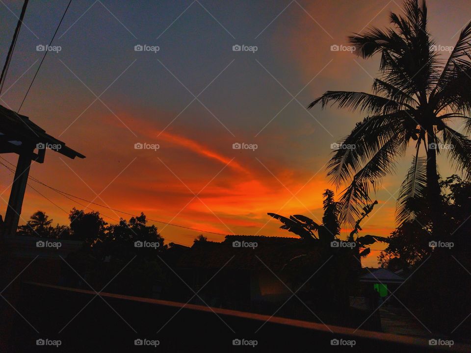 Beautiful orange-colored cloud sunset with coconut trees
