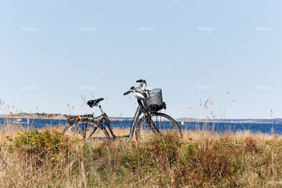One lonely bicycle parked in high grass by the ocean on a sunny day