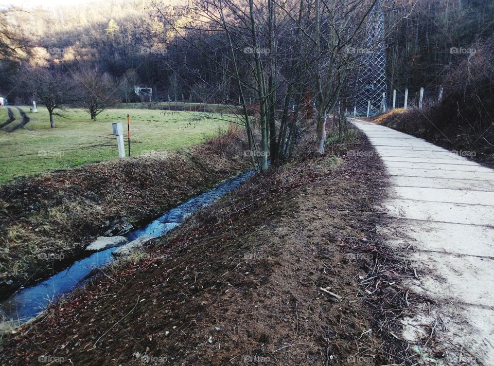 Un sentiero verso il bosco