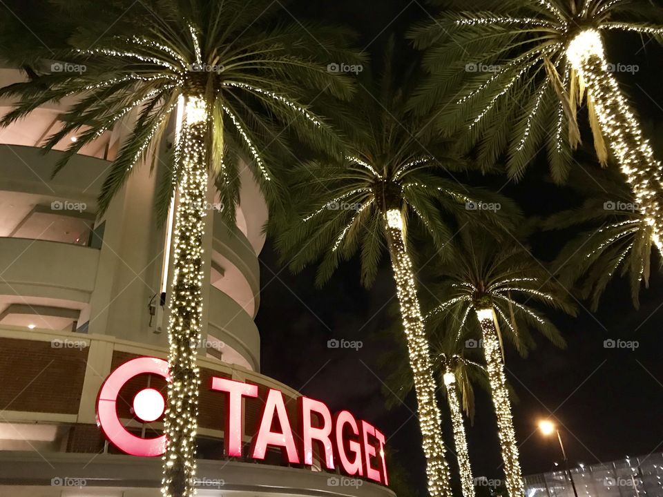 Target in Miami Christmas palm trees