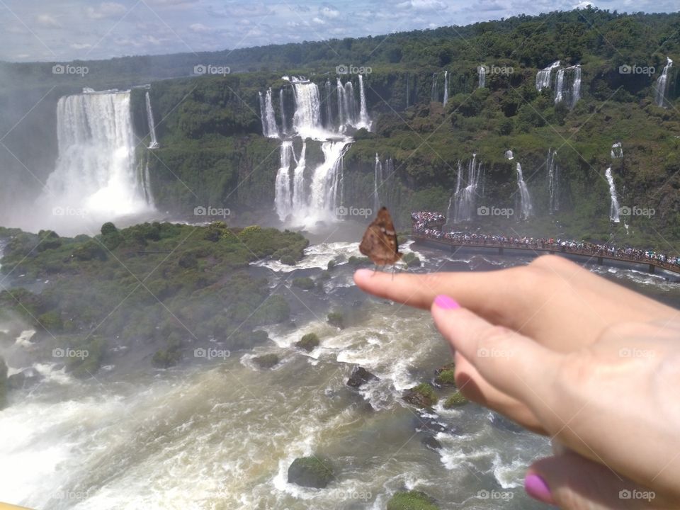 Iguazú falls and butterfly