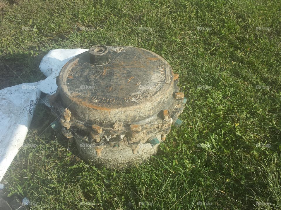 developmental elements